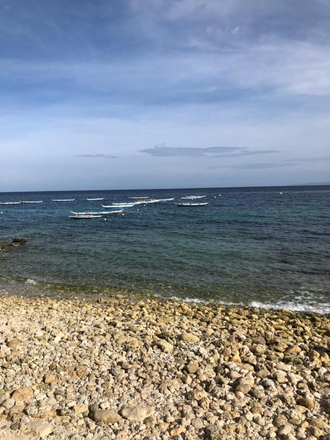 Sharky Hostel Oslob Dış mekan fotoğraf